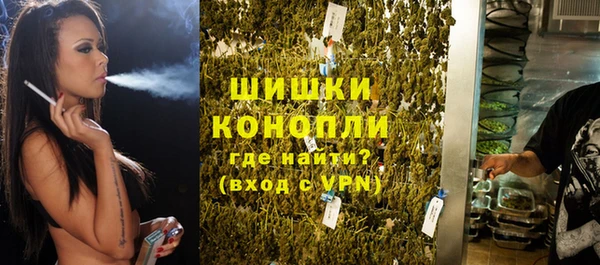 дурь Богородск