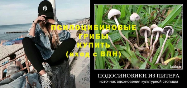 дурь Богородск