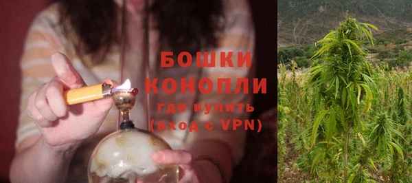 дурь Богородск