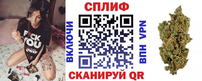 Конопля сатива  купить наркотики сайты  Каспийск 